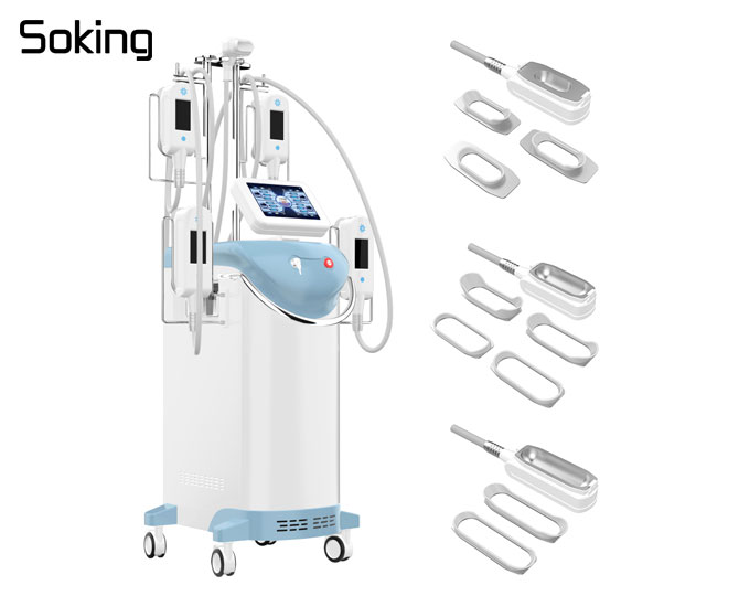 5 handles 360 cryolipolysis slimming machine